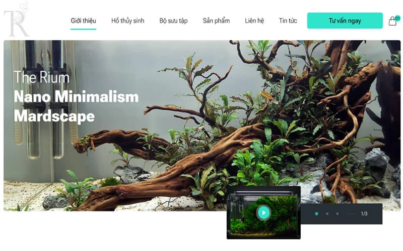 The Rium Aquarium Store
